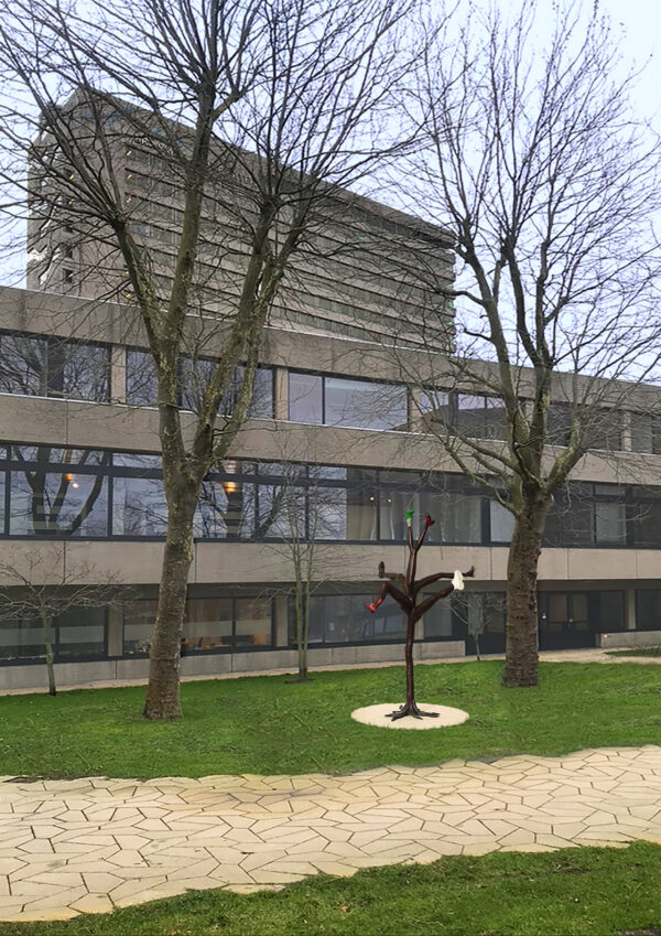 beeld Silvia B. op locatie Woudestein